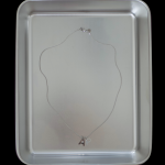 Double initial necklace